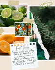 Forest Therapy Aromatherapy Perfume Oil