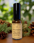 Forest Bathing Room Mist | Pine, Cedar & Oakmoss 30ml