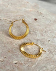 Ridged Gold Hoops