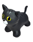 My First Bouncy Black Cat Toy