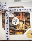 Get Well Soon Biscuit Treat Box