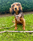 Rugged Rover™ Harness - Autumn Breeze