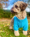Dog Fleece Coat - Blue