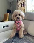 Rugged Rover™ Harness - Peachy Hearts