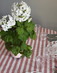 The Adrienne Venetian Tumbler in Pink