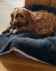 Premium Sherpa Fleece Dog Blanket | Handmade Soft Reversible Pet Throw | Cosy Luxury Dog Bedding UK