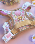 Pastel Petals - Dog Collar + ID Tag Holder