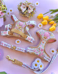 Pastel Petals - Dog Collar + ID Tag Holder