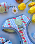 Eden's Orchard - Dog Collar + ID Tag Holder