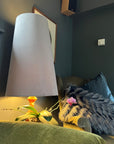 Grey Velvet Lampshade | Extra Tall Cone Light Shade | Bespoke Handmade UK