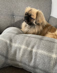 Large Bone, Dog Snuggle Cushion