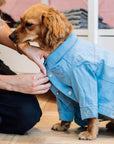 Top-Stitched Shirt (Blue)