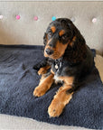 Premium Sherpa Fleece Dog Blanket | Handmade Soft Reversible Pet Throw | Cosy Luxury Dog Bedding UK