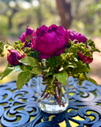 Real touch peony arrangement in glass vase - 10"
