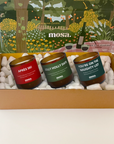 Mosa Special Holiday Gift Set