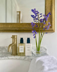 BRIAR ROSE BODY AND HAND LOTION