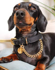 Leather Collar with Chain (Black)