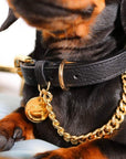 Leather Collar with Chain (Black)