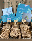 Plant Propagation Gift Set