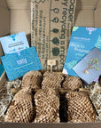 Plant Propagation Gift Set