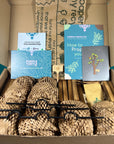 Plant Propagation Gift Set