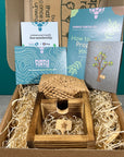 Plant Propagation Gift Set