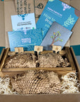 Plant Propagation Gift Set