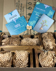 Plant Propagation Gift Set