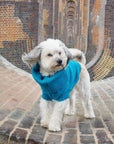 Cerulean Blue British Wool Dog Jumper