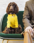 Yellow Jumper