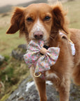 Pastel Petals - Dog Harness (XXS-XS)