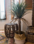 Moroccan Artificial Palm Tree In Pot