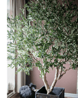 Large Artificial Olive Tree 90" Tall