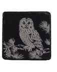 Tawny Owl Single Slate Coaster