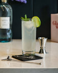 Stag Highball Drinks Set