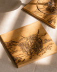 Scenic Highland Cow Single Oak Coaster