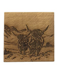 Scenic Highland Cow Single Oak Coaster