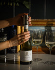 Wine Vacuum Stopper