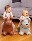 Bouncy Brown Dog Ride On Toy