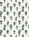 Cactus Wallpaper Juss