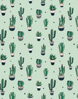 Cactus Wallpaper Juss