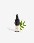 Organic Laurel Essential Oil – Boost Confidence & Harmony by Smells Like Spells at www.brixbailey.com