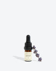 Lavender Essential Oil for Relaxation and Calm