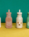 Stainless Steel Bottle 350 ml - Mrs Cat