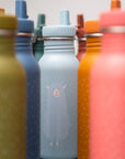 Stainless Steel Bottle 500 ml - Mr Alpaca