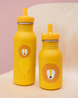 Stainless Steel Bottle 500 ml - Mr Lion