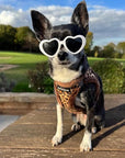 Tiny Trails Step In Luxury Leopard Fur Lined Puppy and Small Dog Harness