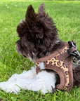 Tiny Trails Step In Luxury Leopard Fur Lined Puppy and Small Dog Harness