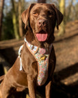 Pastel Petals - Dog Collar + ID Tag Holder