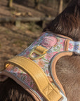 Pastel Petals - Supaw Strong™ Dog Harness (XS-XL)